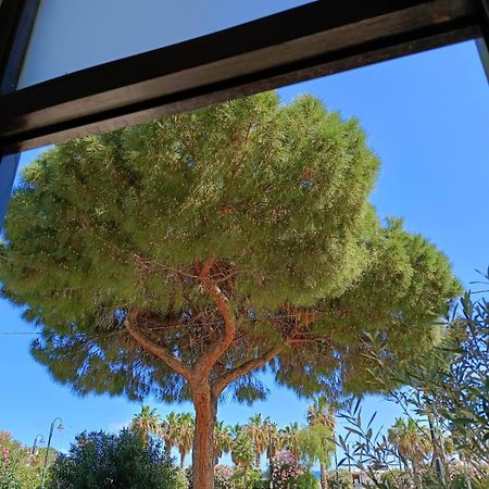 Da Cappellini Bed and Breakfast Isola delle Femmine Εξωτερικό φωτογραφία