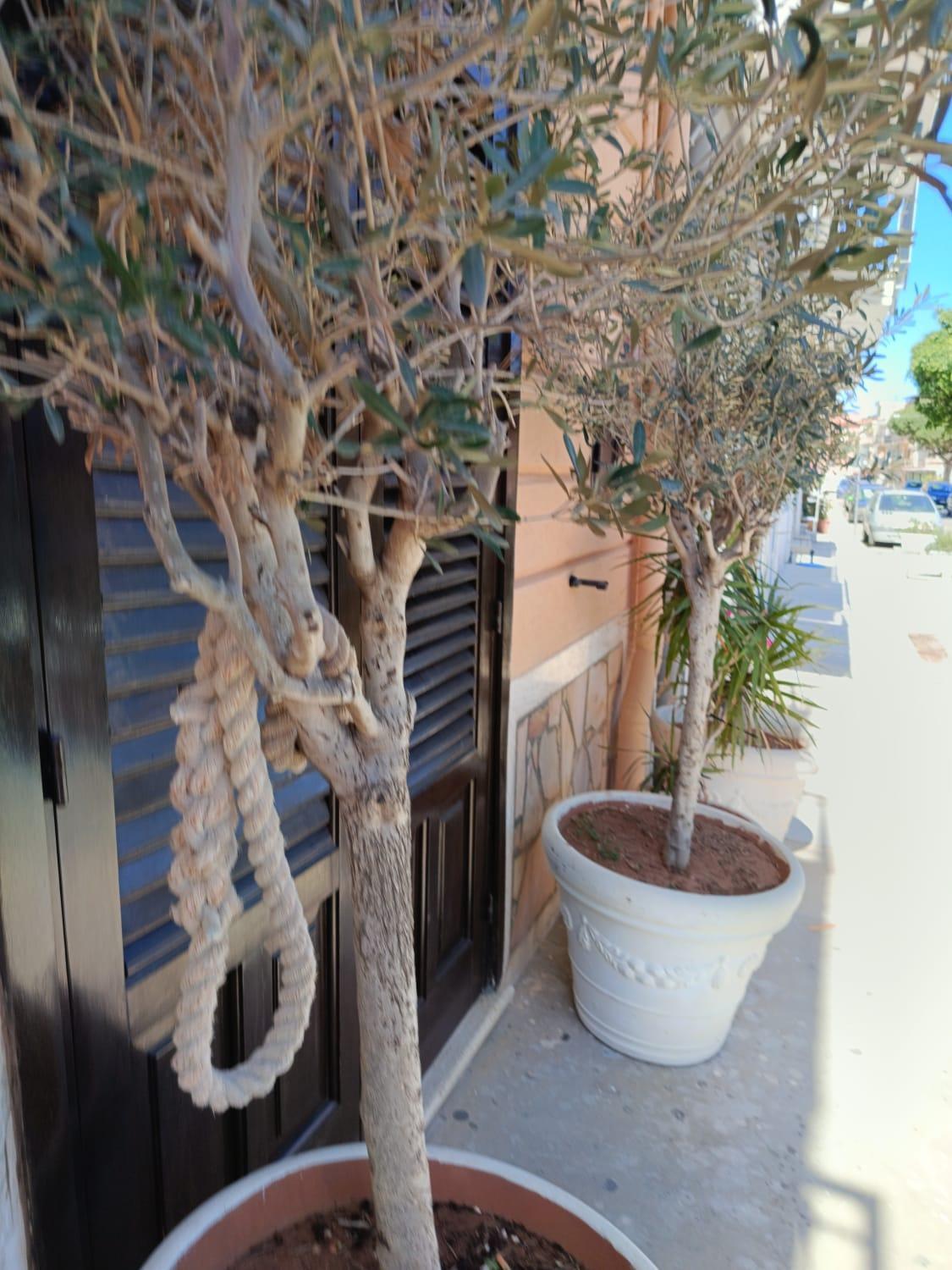 Da Cappellini Bed and Breakfast Isola delle Femmine Εξωτερικό φωτογραφία